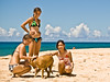 "Shy Dog"   a Vacation pic taken on the North Shore of Oahu, Hawaii  .... Photographer: Ross Hamamura  web site: www.RDHphoto.net