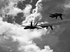 Blue Angels 10/14/07  w/kit 40-150mm  .... Ross Hamamura, web site: www.RDHphoto.net