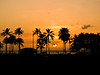 "Lucky, you live Hawaii"  :)  ...  was waiting outside of a resturant parking lot  ... and this showed up ... good thing I had my camera!  I had just changed from an e500 to a e510 ... e510 handheld w/IS standing in the middle of a  parking lot, this "is" as I saw it  ...  Ross Hamamura,  web site: www.RDHphoto.net