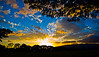 14-42mm Kit Lens  Handheld  ... fyi: only raw processed in LRv1.2 (but, yes ... I went crazy with it  ... after all it was just Ewa Beach and my kit lens)  lol  ....   Ross Hamamura, web site: www.RDHphoto.net