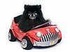 Pets : Open to all EOH members to post images of Pets