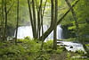 Japan 10-2007,  Leroy Nagasako : Japan 2007-10 Photographed by Leroy Nagasako  ... * p.s. don't forget to read the text that Leroy wrote about each shot.