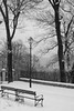 Winter Solitude, Photographer: Barbra Miciak