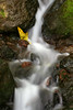 Fanny Li's Shared Images : Photographer: Fanny Li  ... Web: http://sunnyface.smugmug.com/